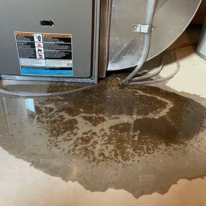 Appliance Leak Cleanup in Boulder County, CO